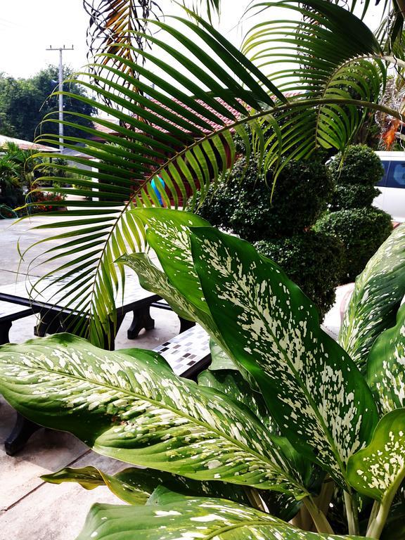 Phonepraseuth Guesthouse Luang Prabang Dış mekan fotoğraf