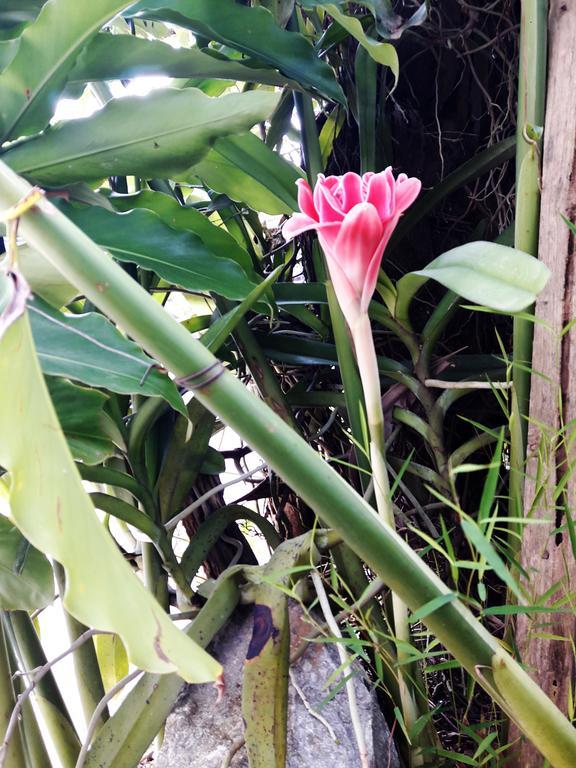 Phonepraseuth Guesthouse Luang Prabang Dış mekan fotoğraf